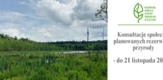 Czy powstaną nowe rezerwaty przyrody na Mazurach?